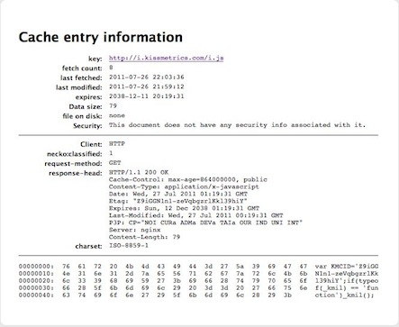 Kissmetricscacheentry